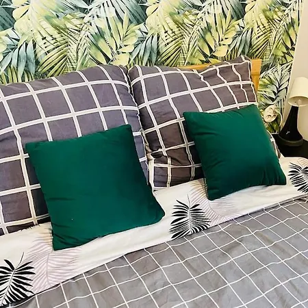 Lägenhet Jungle - Centrum